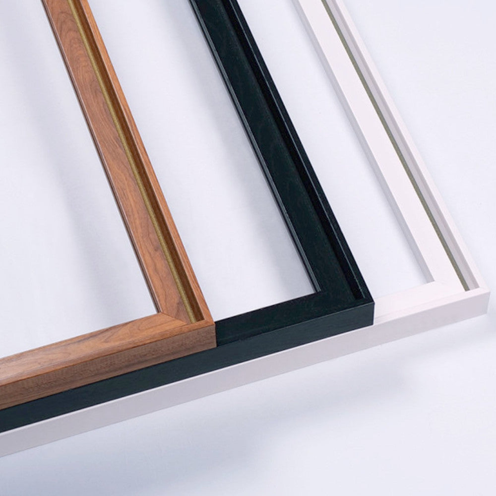 Framed Canvas Prints